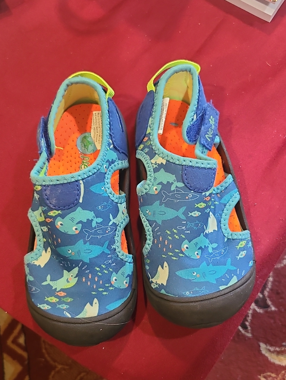 Kids Shark-Print Blue Water Shoes with Hook-and-Loop Strap